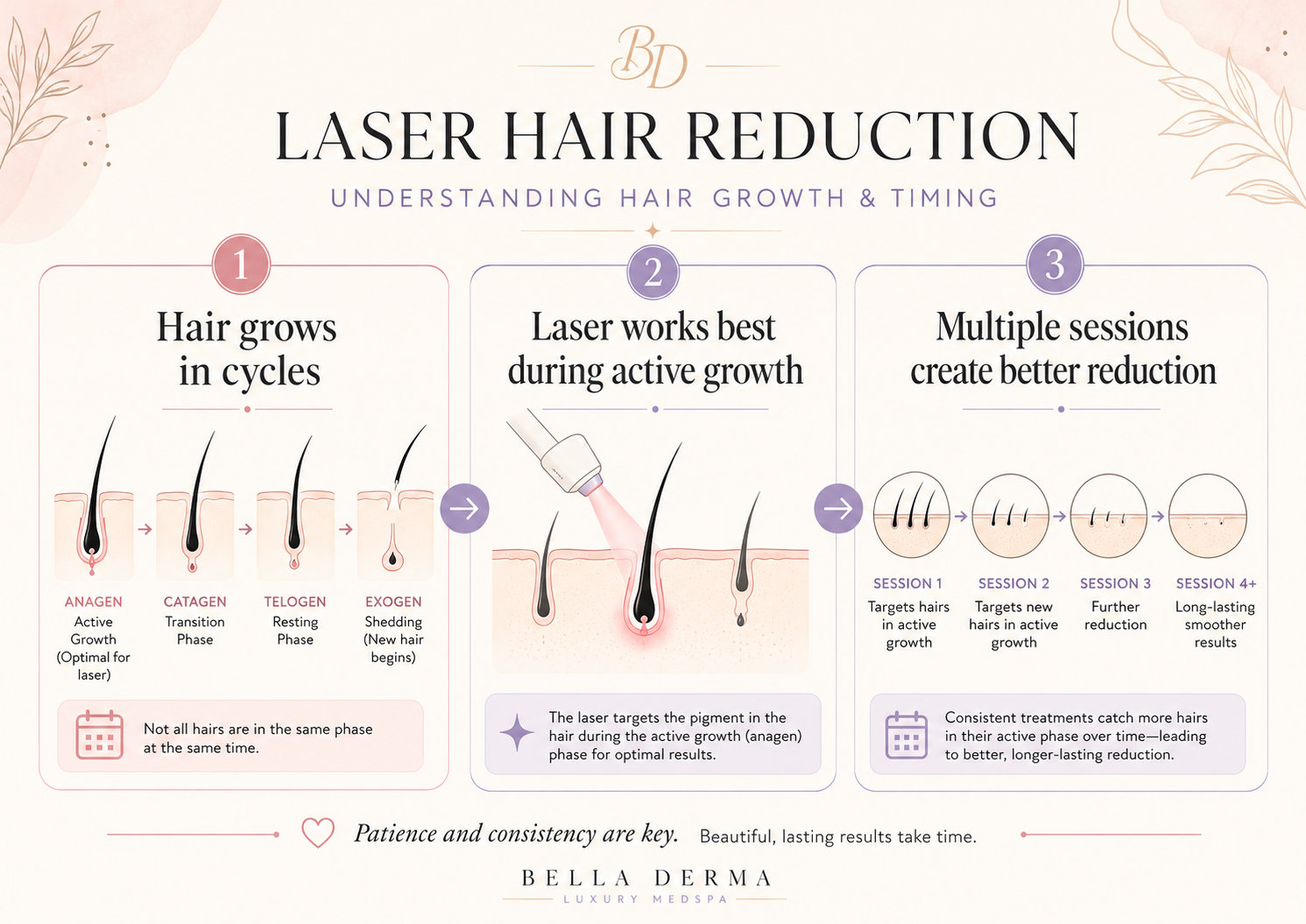 Aerolase Laser Hair Removal in Reno hair growth cycle