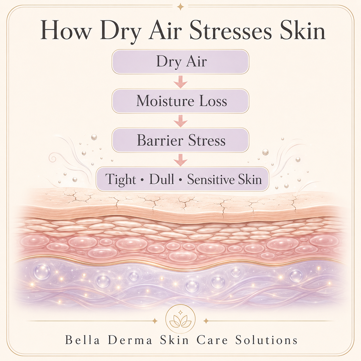 How Reno dry air affects the skin barrier
