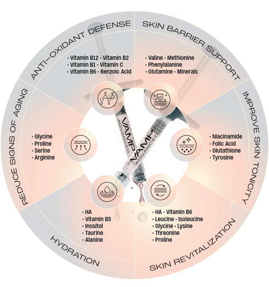 VAMP Advanced ingredient overview for PDRN, hyaluronic acid, vitamins, amino acids, and minerals.